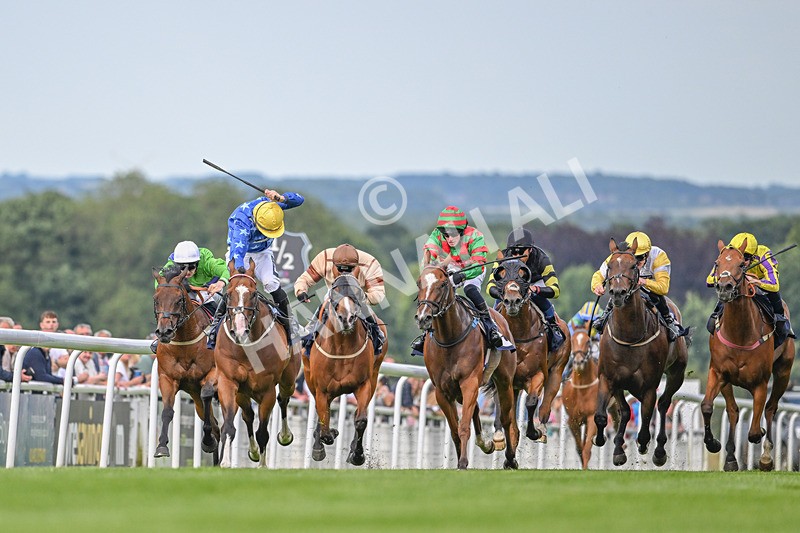 220724-Race 2-Refuge-2616 - Race 2