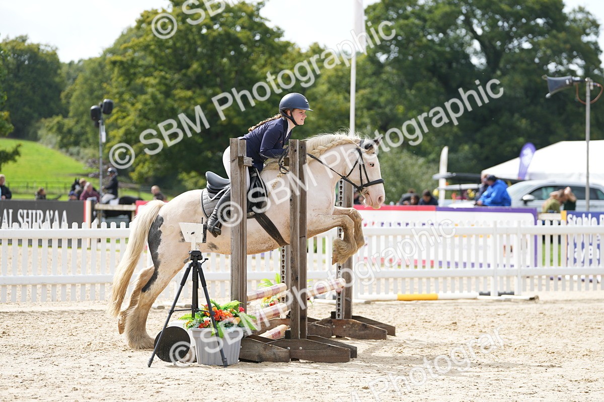 SBM_40055 - J6 - Junior Pony 55cm Championship