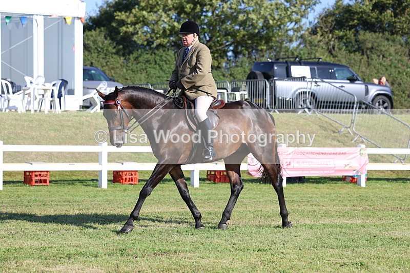3E7A5372 - Class 2: Rising Star Large Hack/Riding Horse