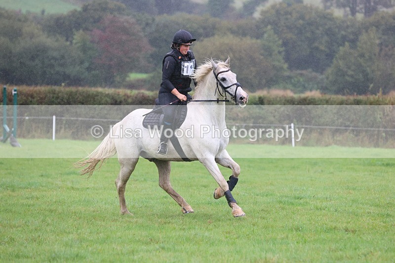 JPP_5101 - Class 1: 65cm : Showjumping