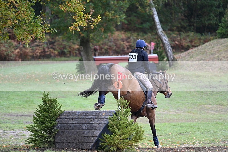 WJ7_5372 - Time 13:00 to 13:18