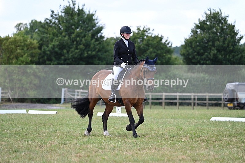 WJ7_5298 - Time 11:22 to 11:51