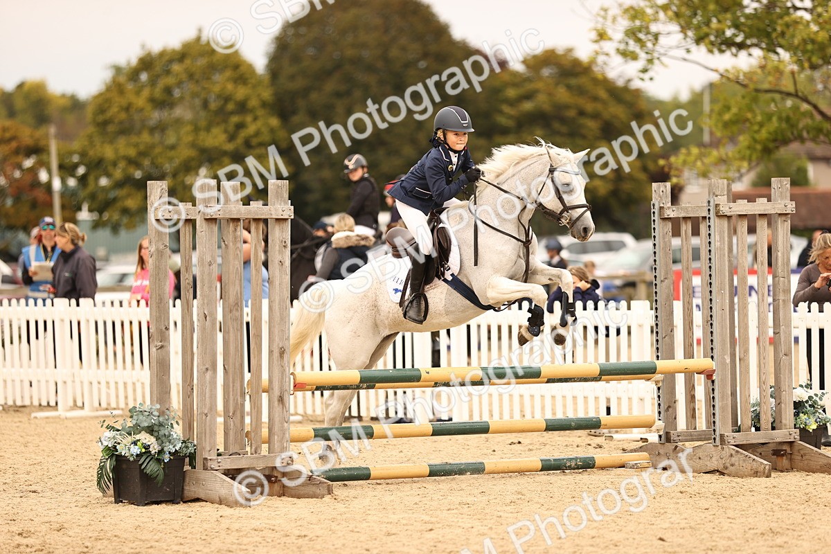SBM_72552 - J14 - Junior Pony 65cm Championship