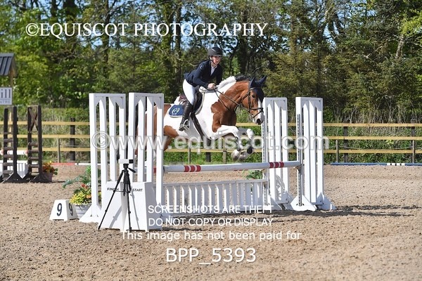 BPP_5393 - CLASS 22 SUN Club/ Unaffiliated 80cms Open