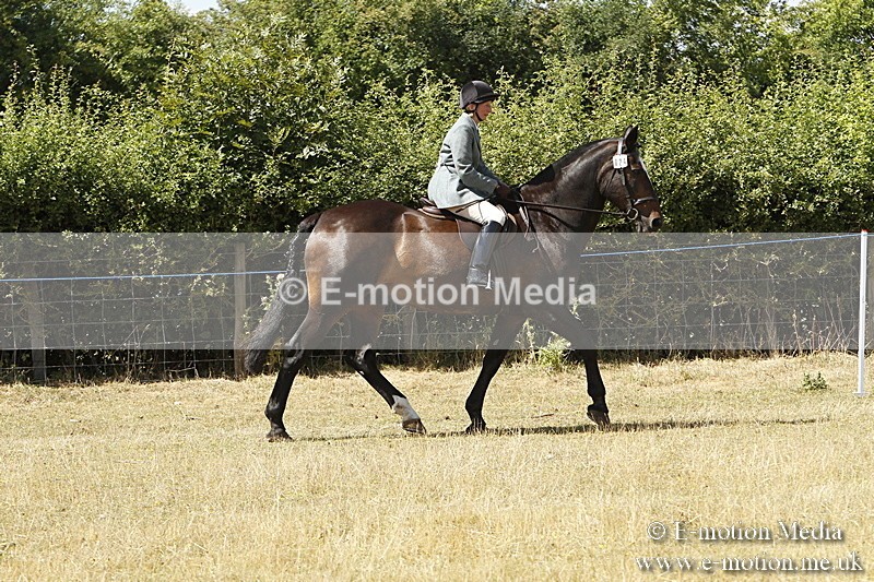 _BS_0727 - BVRC Show 2018 Ring 1