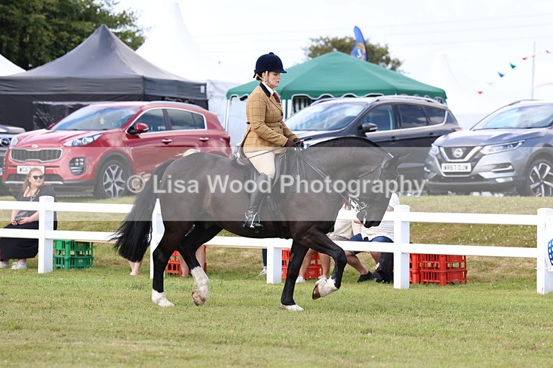 3E7A9669 - Class 5: Rising Star Lightweight/Heavyweight Cobs