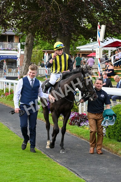 310525-Race 6-Dantes Lad-0172 - Race 6 4.25pm Royal Yorkshire Regiment Handicap