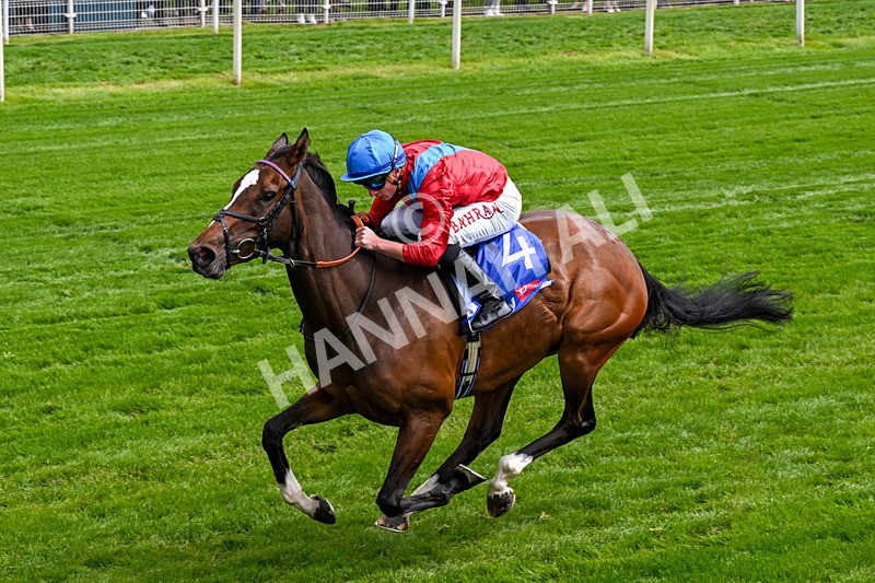 150526-Race 2-Lilt-0117 - Race 2 2.20pm Sky Bet Fillies' Stakes