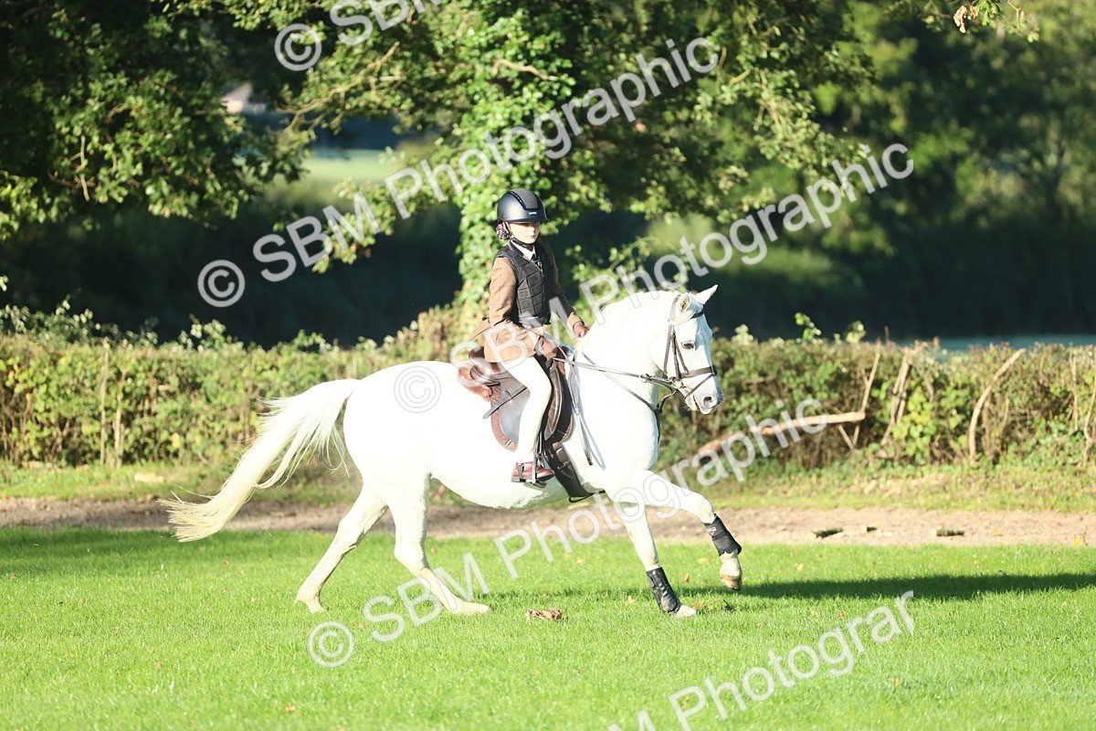 SBM_37367 - S29 - Novice & Newcomers Working Hunter Pony