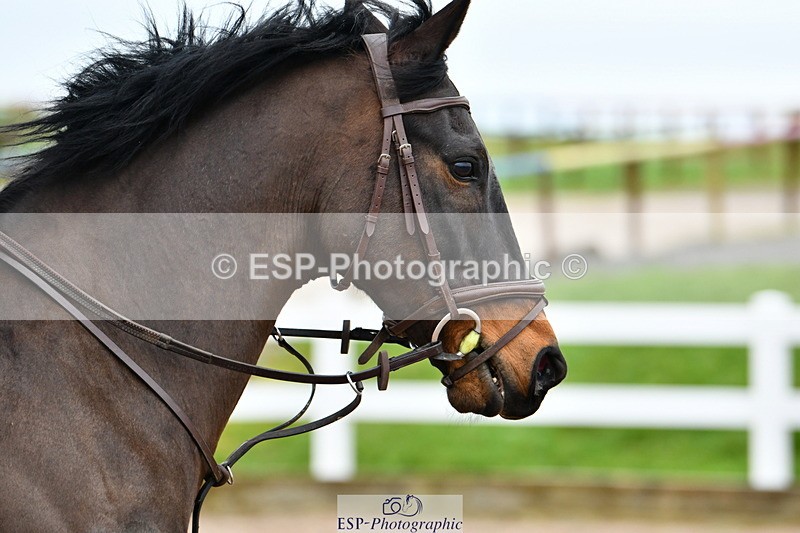 240316A-090733-02112 - Cls 19 85cm National Amateur Quali