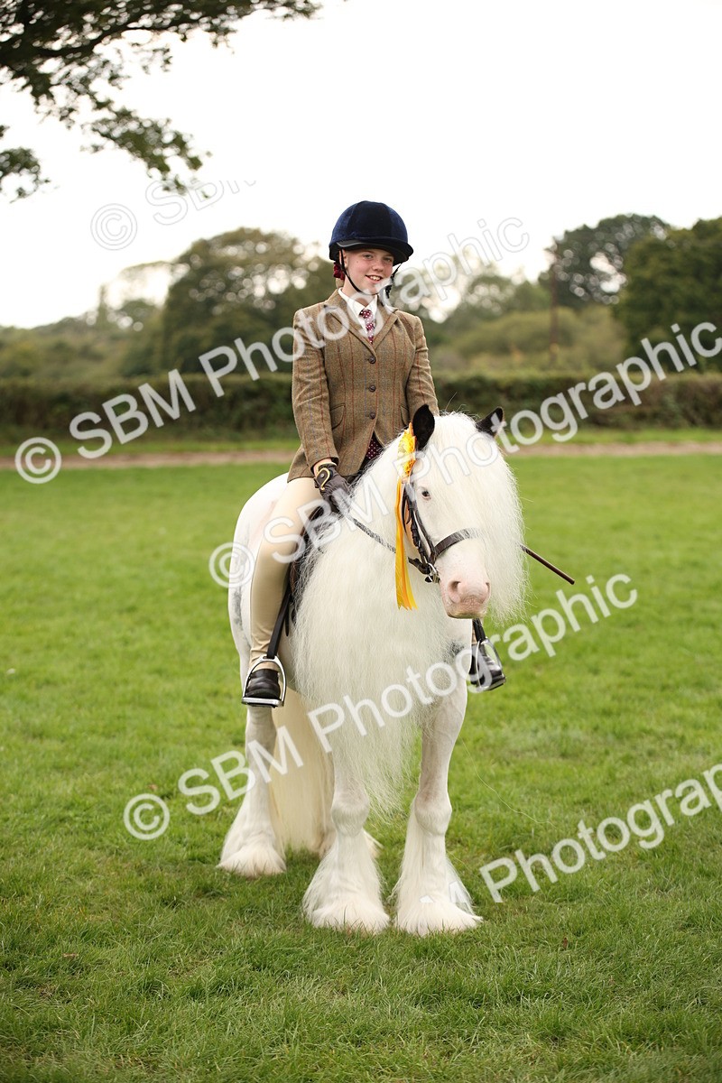 SBM_73587 - S68 - Traditional Cob Ridden