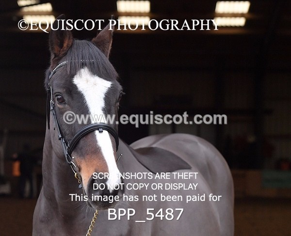 BPP_5487 - Morag Johnston