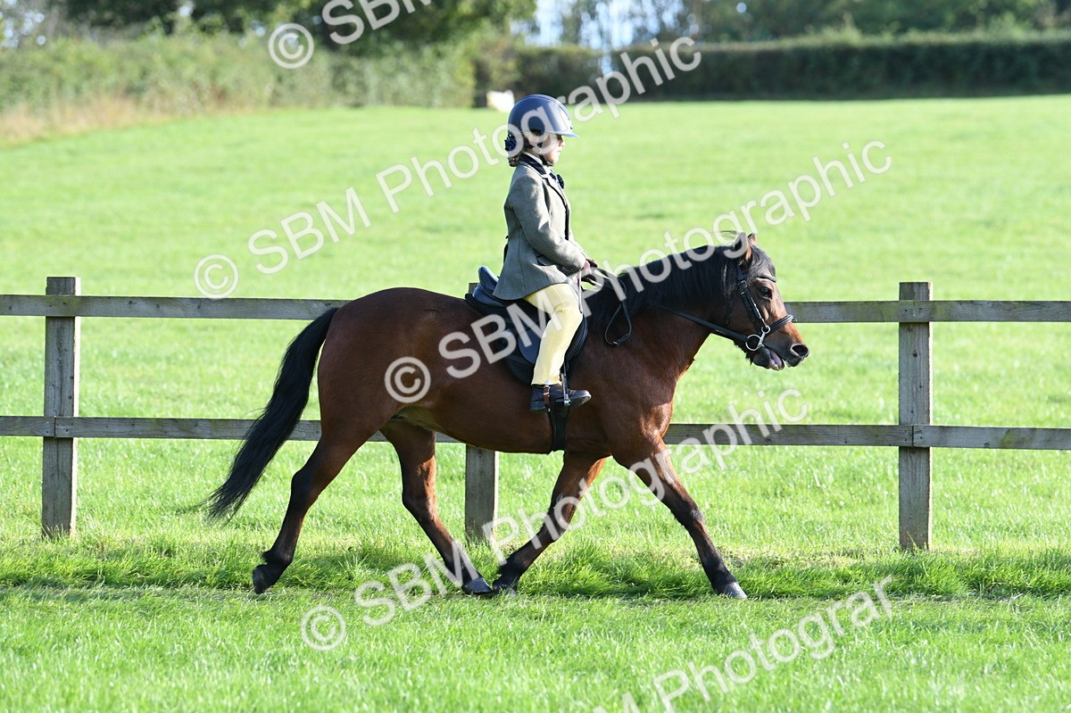 SBM_54020 - S23 - 1st Ridden Mountain & Moorland Pony