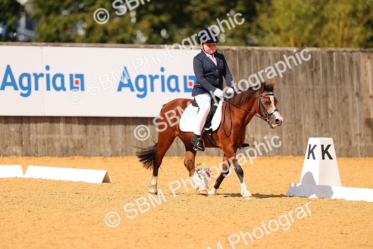 SBM_44069 - D22 - Junior Championship - Intro B