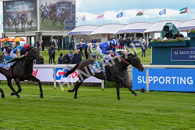 130526-Race 4-Elmonjed-3000 - Race 4 3.30pm Go Local Stores Minster Stakes