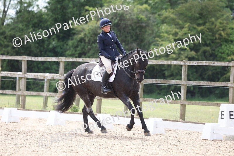 20250520-0602 - Class 4 - Novice 1