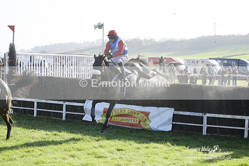 PtP 300122 47 - South Dorset Hunt - Point-to-Point Races 30/01/2022