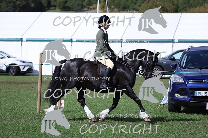 APP_3496 - Class 12 M&M ridden