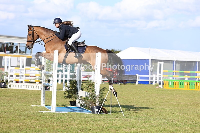 3E7A4342 - Class C: Showjumping Senior Foxhunter