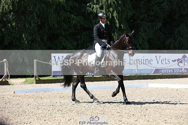 230526-103830-05295 - 363-RLE_KHALEESI_C-Christopher_Wincer-WEDTrotUp+DR