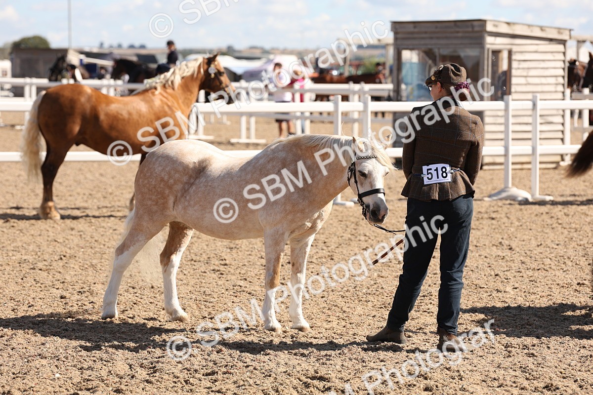 SBM_13912 - Class 205 - IH Show Pony - Show Hunter Pony
