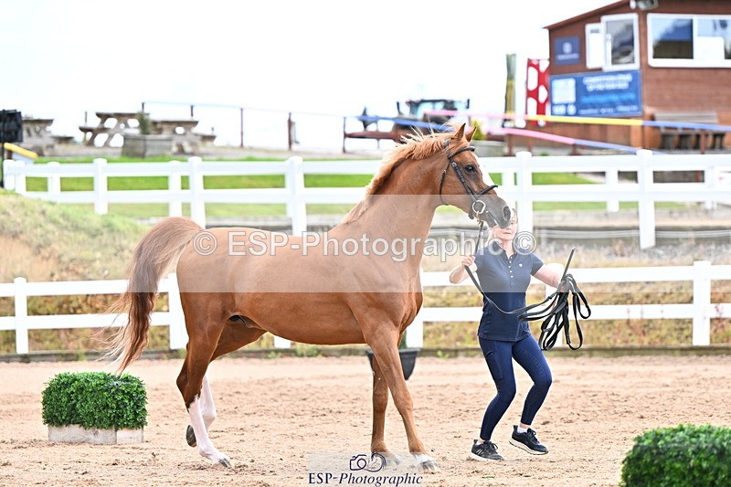 240718A-105327-02035 - Trot Up 2pm to 3pm - This folder is not in time order