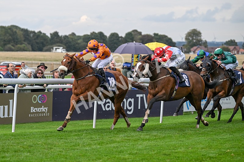 240924-Race 5-Ifonlytheycudtalk-6486 - Race 5