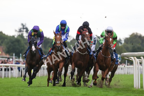yr24092021r6-19 - Race 6 4.25pm William Hill Pick Your Places Stakes