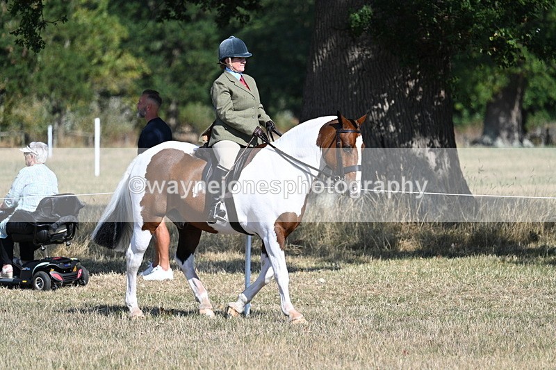 WJ7_3119 - Class 8 Ridden Tack & Turnout