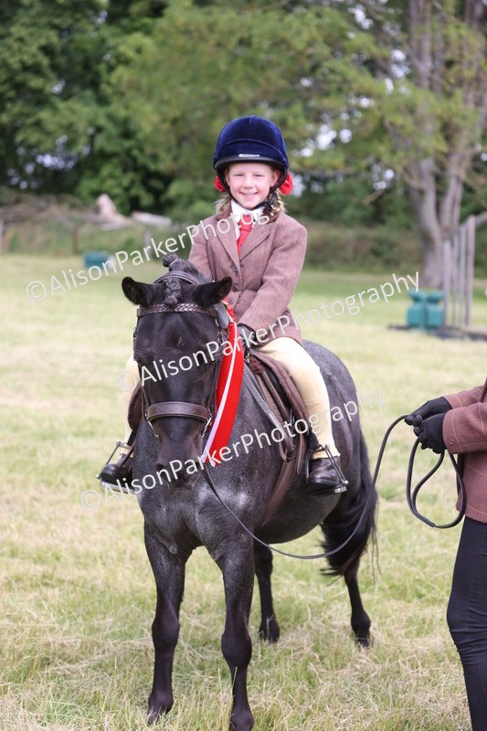 20260614-0820 - Class 20 - Beginners Working Hunter Pony