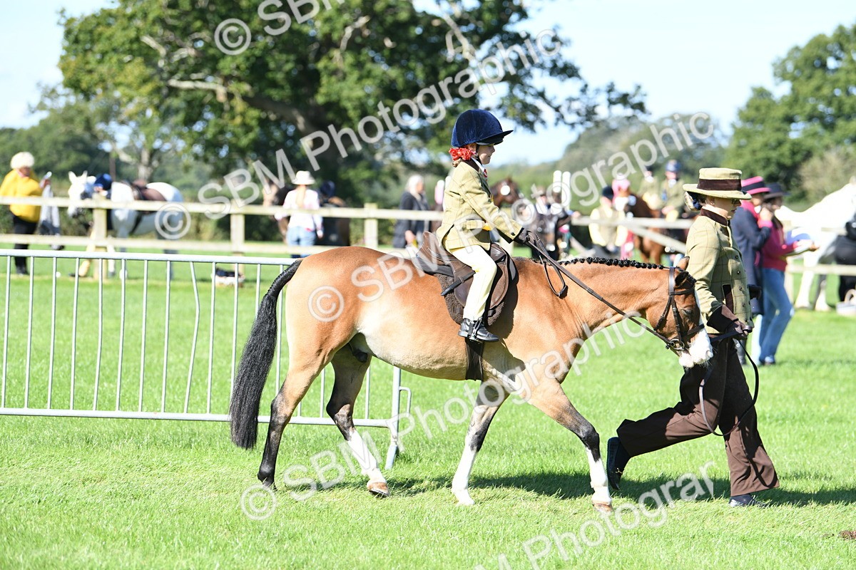 SBM_37116 - S18 - Novice & Newcomers Lead Rein Pony