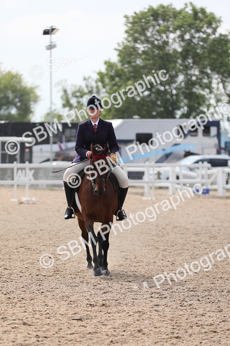 SBM_15622 - Class 311 Ridden Show Pony/ Show Hunter Pony