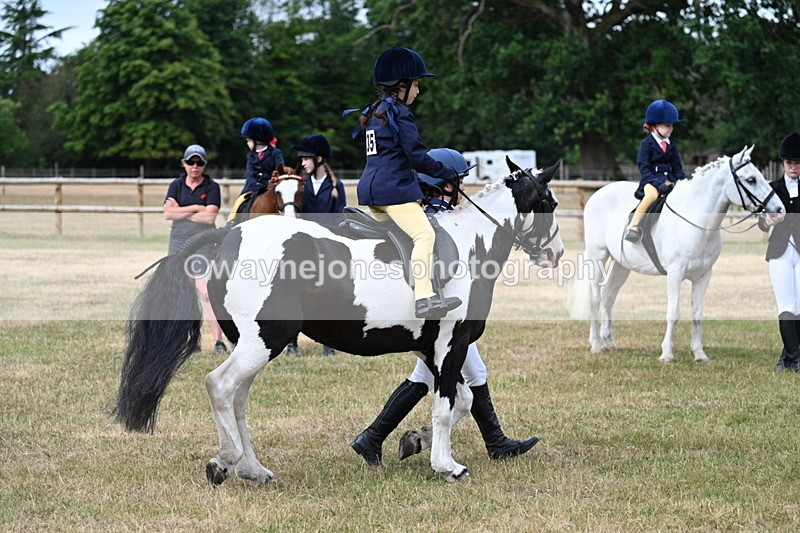 WJ7_9789 - Class 1 Lead Rein Pony