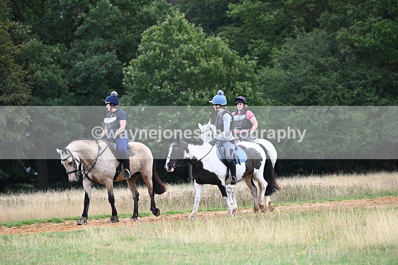 DSC_5353 - Time at Statue 11:46 to 12:16