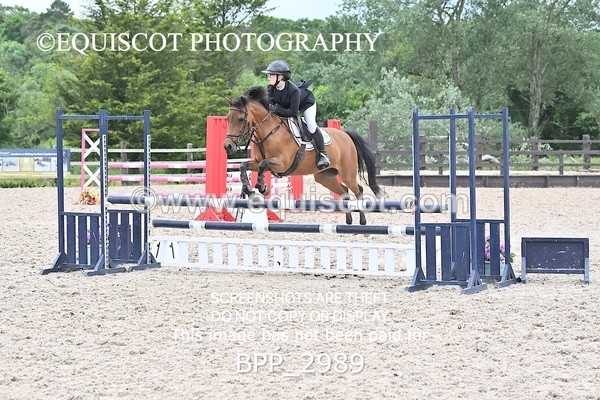 BPP_2989 - CLASS 7 Pony Discovery / 90cm Open