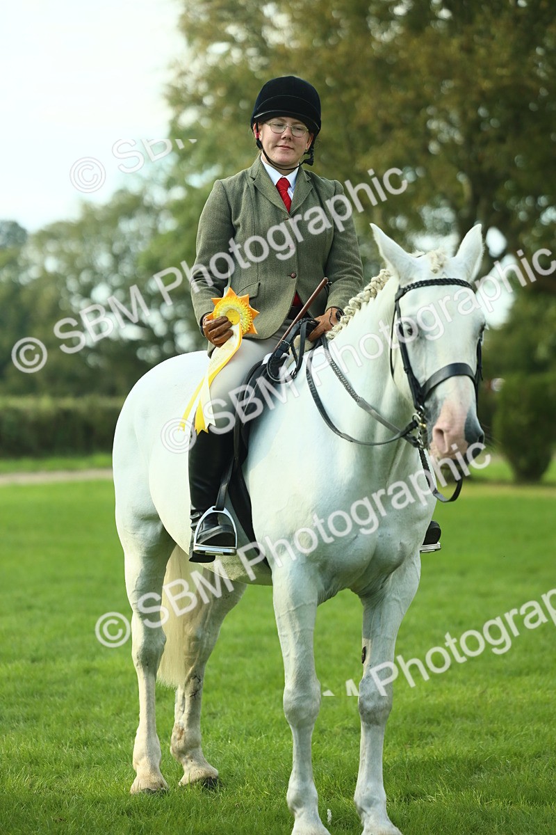 SBM_52240 - S33 - Working Hunter & Working Show Horse