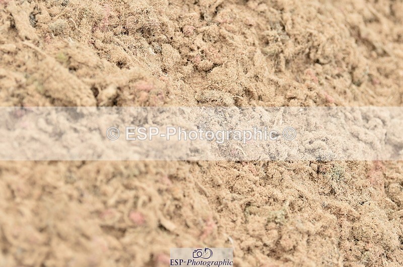 230611A-094340-04596 - Cls 31 British Novice & Open