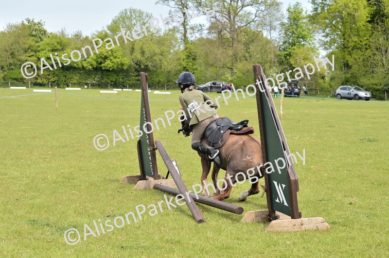 20260426-2388 - Class 21 - Working Hunter Ponies