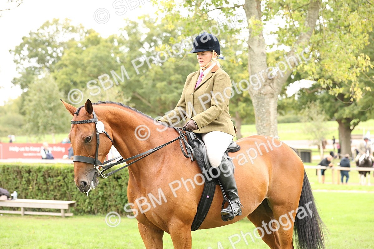 SBM_66374 - S66 - Hunter Ridden