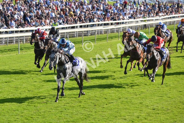 yr08102021r3-27 - Race 3 3.15pm Download The Casumo App Today Handicap