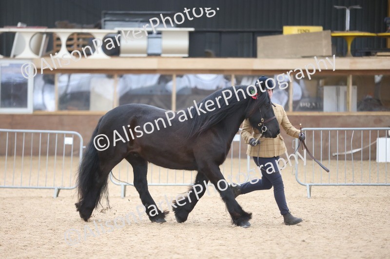 20251109-1220 - Supreme Championship