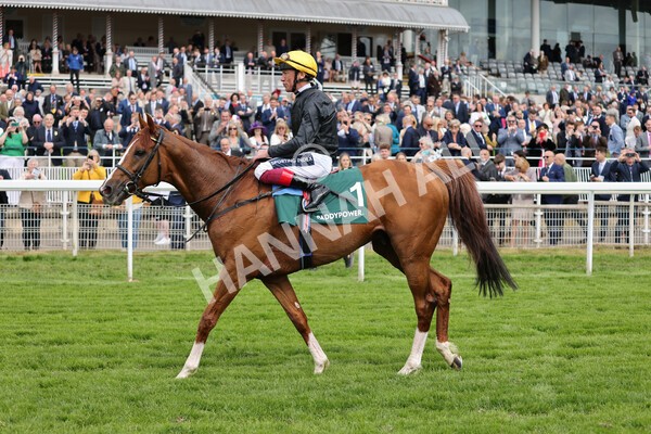 yr13052022r4-94 - Race 4 3.35pm The Paddy Power Yorkshire Cup (British Champions Series Race)