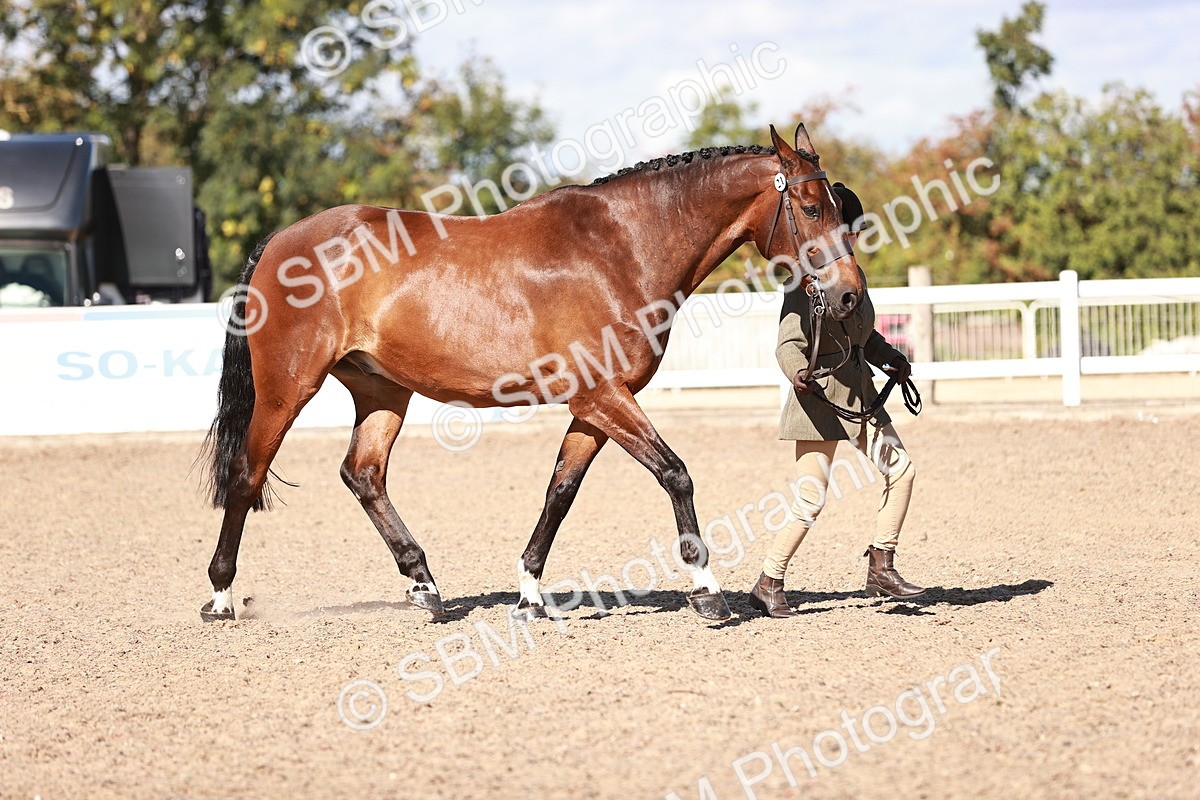 SBM_13296 - class 406 - IH Hunter