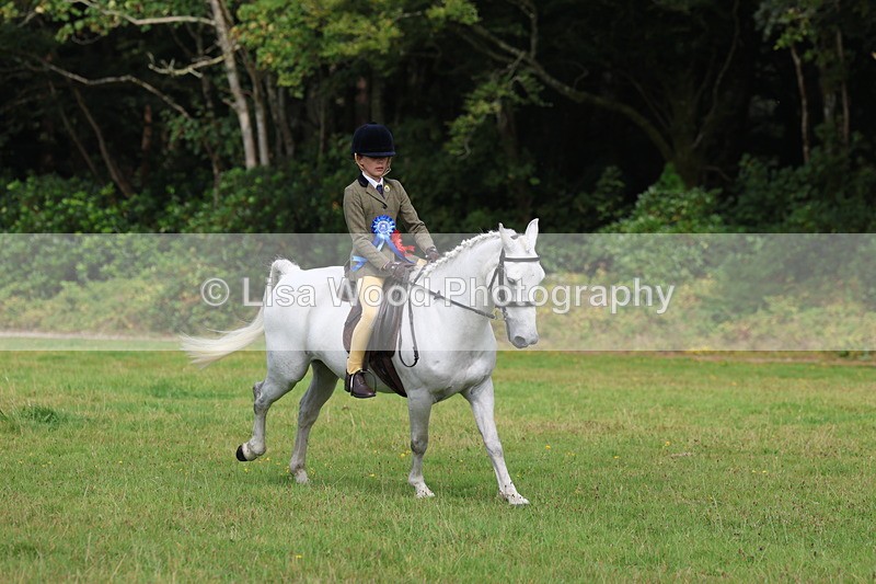 3E7A6067 - Working Hunter Championship