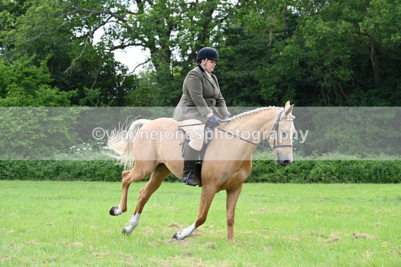 WJ7_2510 - Class 12A Coloured Class