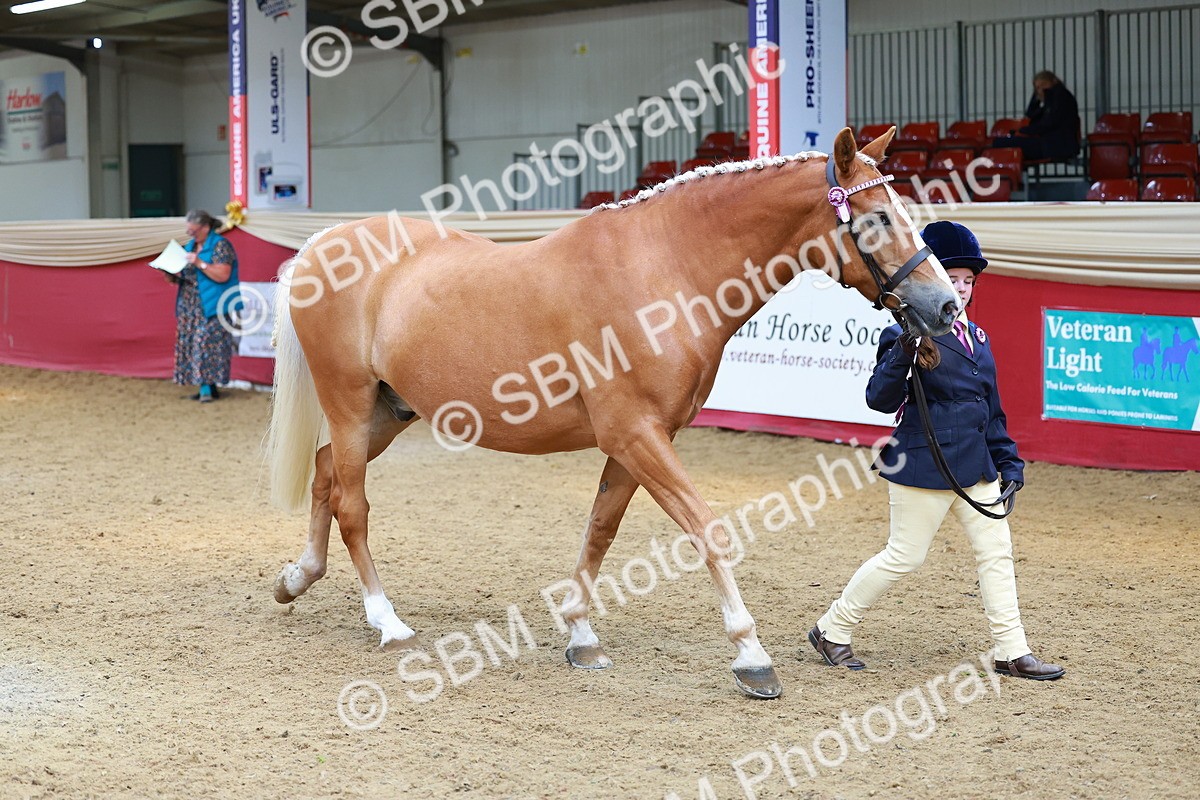 SBM_04260 - Class 9R - IH Pre-Vet