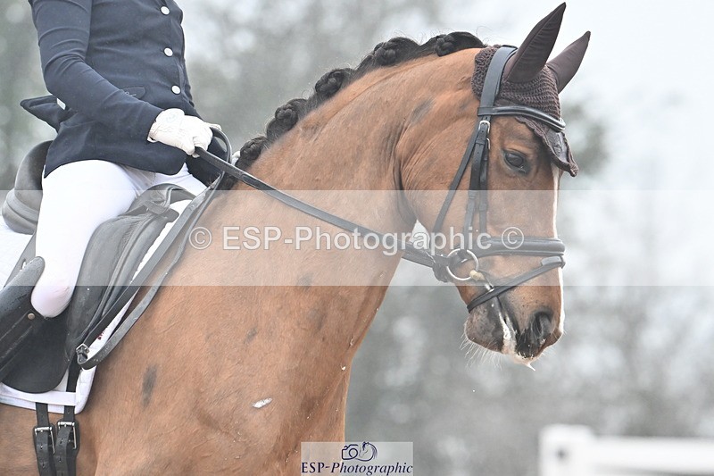 240217A-123409-02259 - 225-Lucy.Goodman-Queenie.S