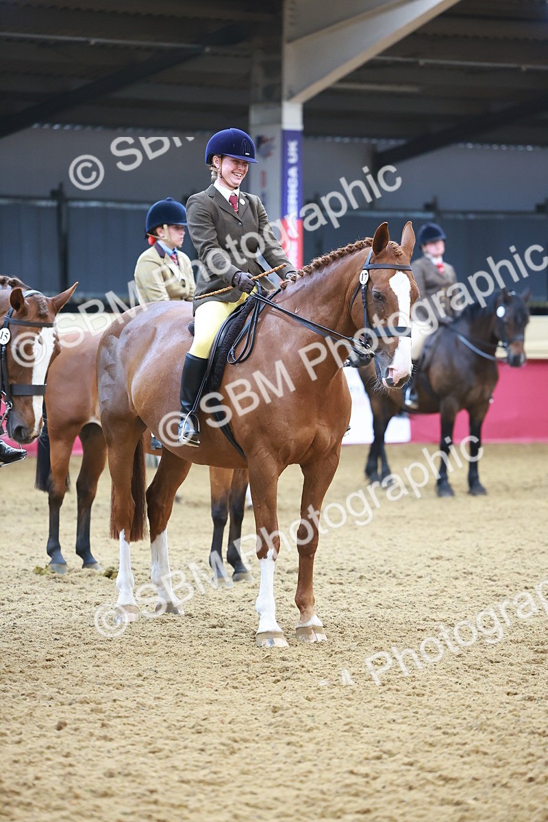 SBM_12682 - Class 103 - HOYS Veteran Qualifier - Ridden Pre Vet