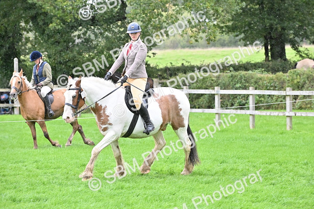 SBM_42970 - S12 - Family Horse & Pony