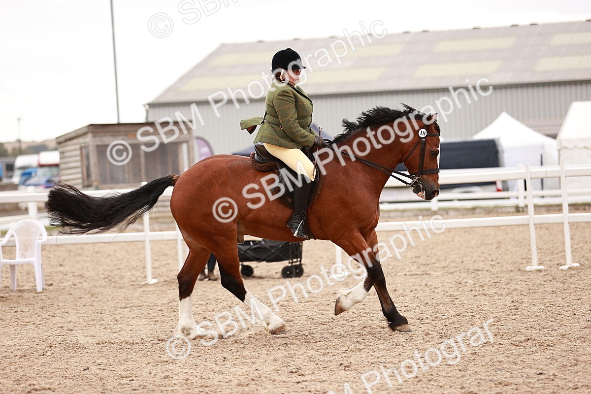 SBM_19027 - Class 422 - Ridden M&M